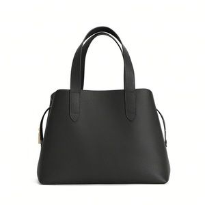 Cuyana Zippered Satchel